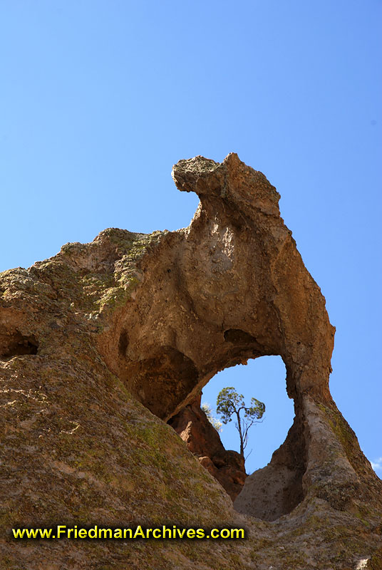 rock,tree,sky,hole,composition,rule of thirds,new mexico,masthead,